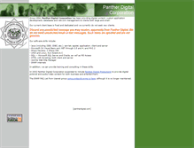 Tablet Screenshot of pantherdigital.com